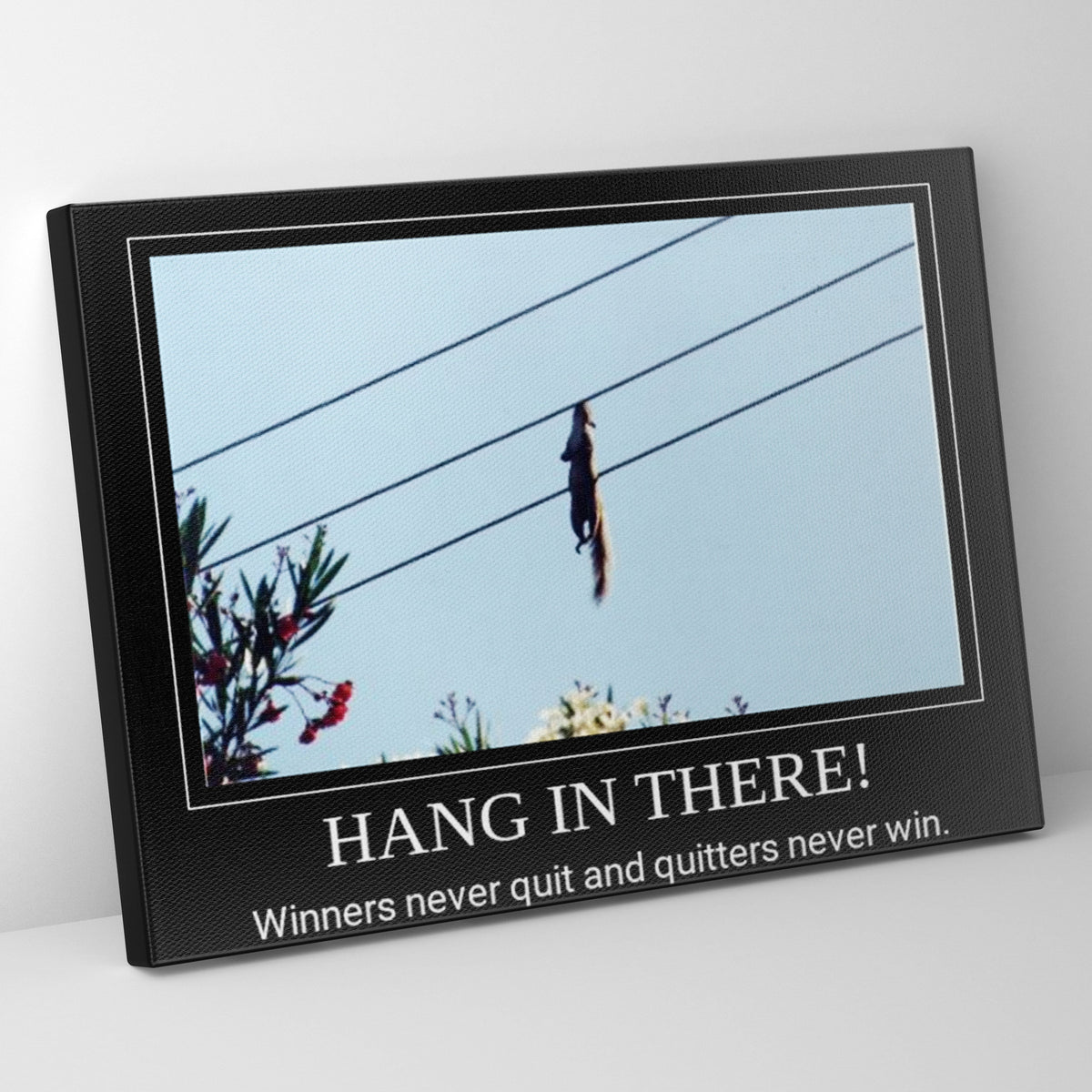 Demotivational Hang In There Prints | Far Out Art 