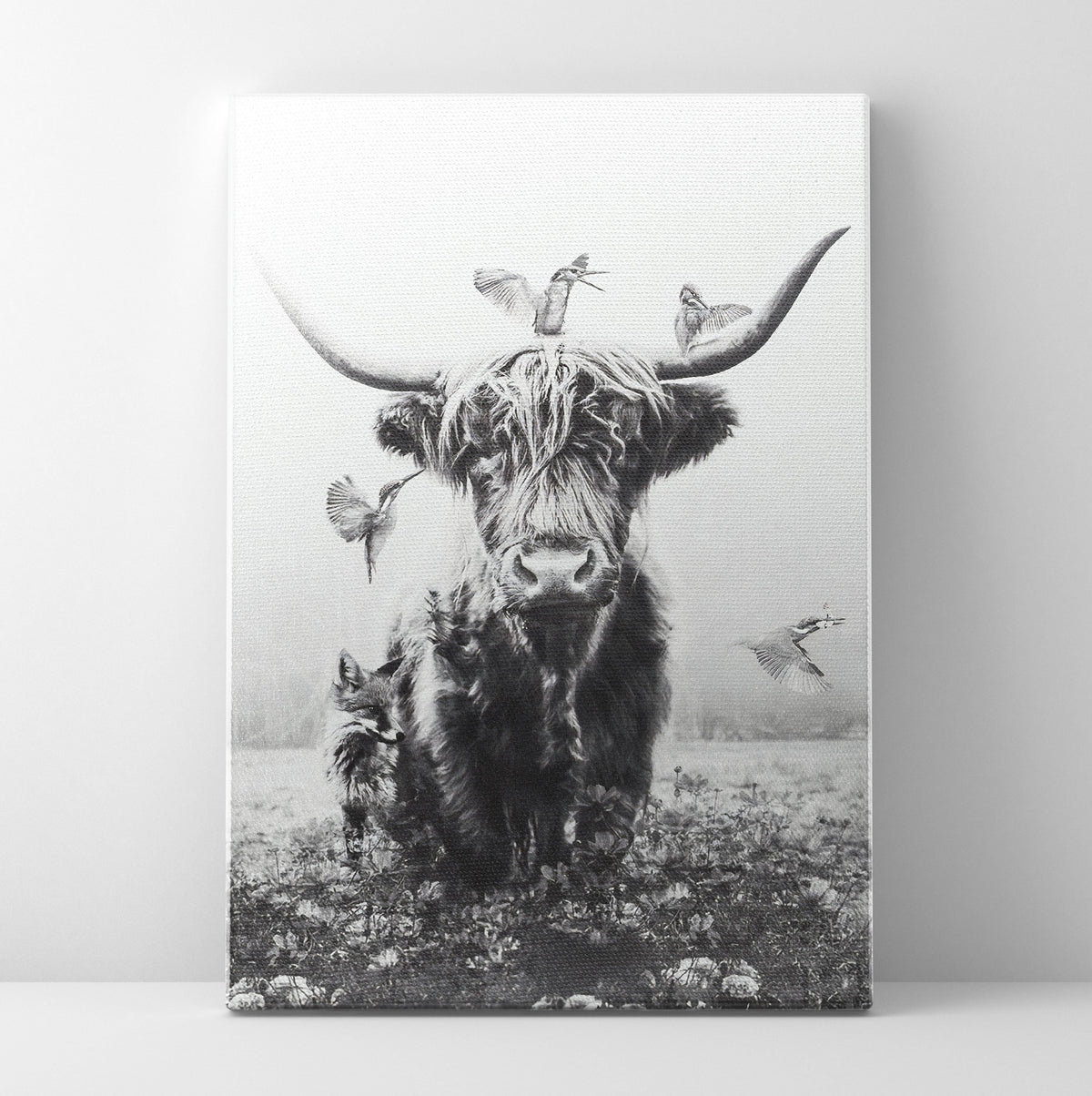 Highlands Cow Poster/Canvas | Far Out Art 