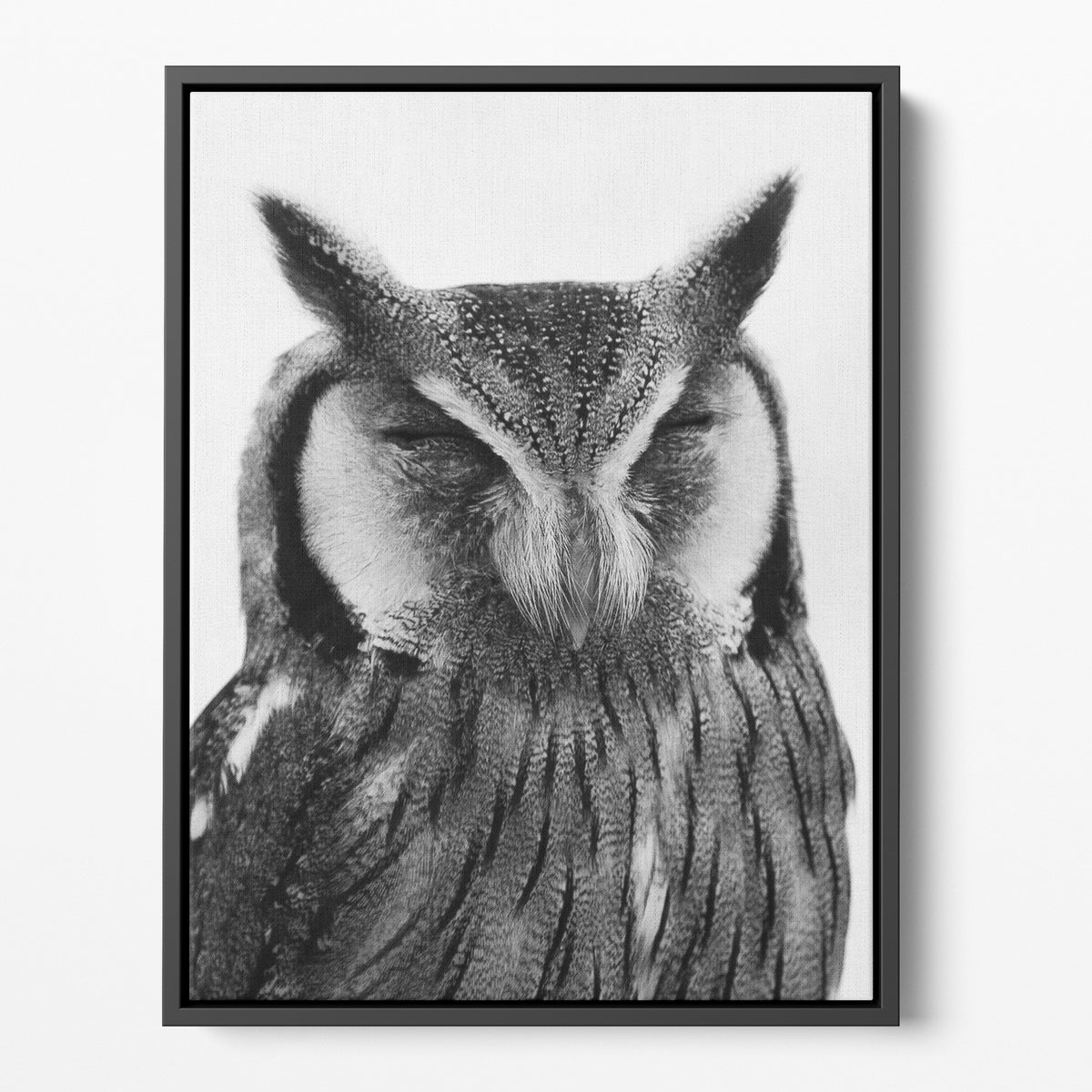 Horned Owl Prints | Far Out Art 