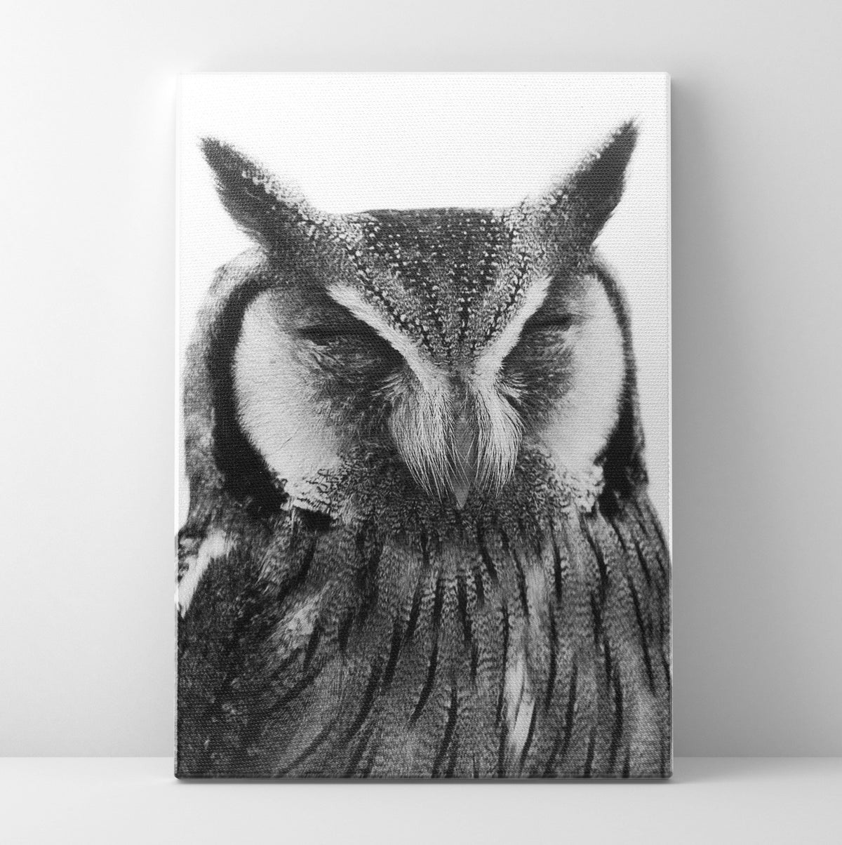 Horned Owl Prints | Far Out Art 
