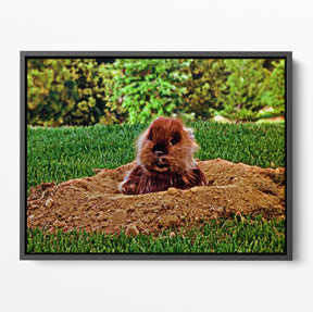 Caddyshack I'm Alright Poster/Canvas | Far Out Art 