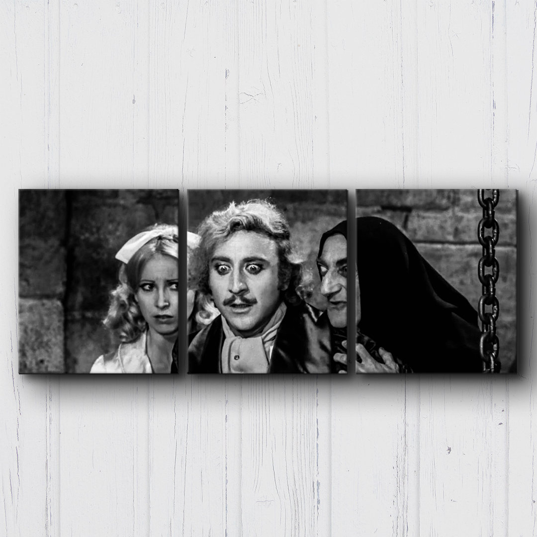 Young Frankenstein It's Alive Canvas Sets