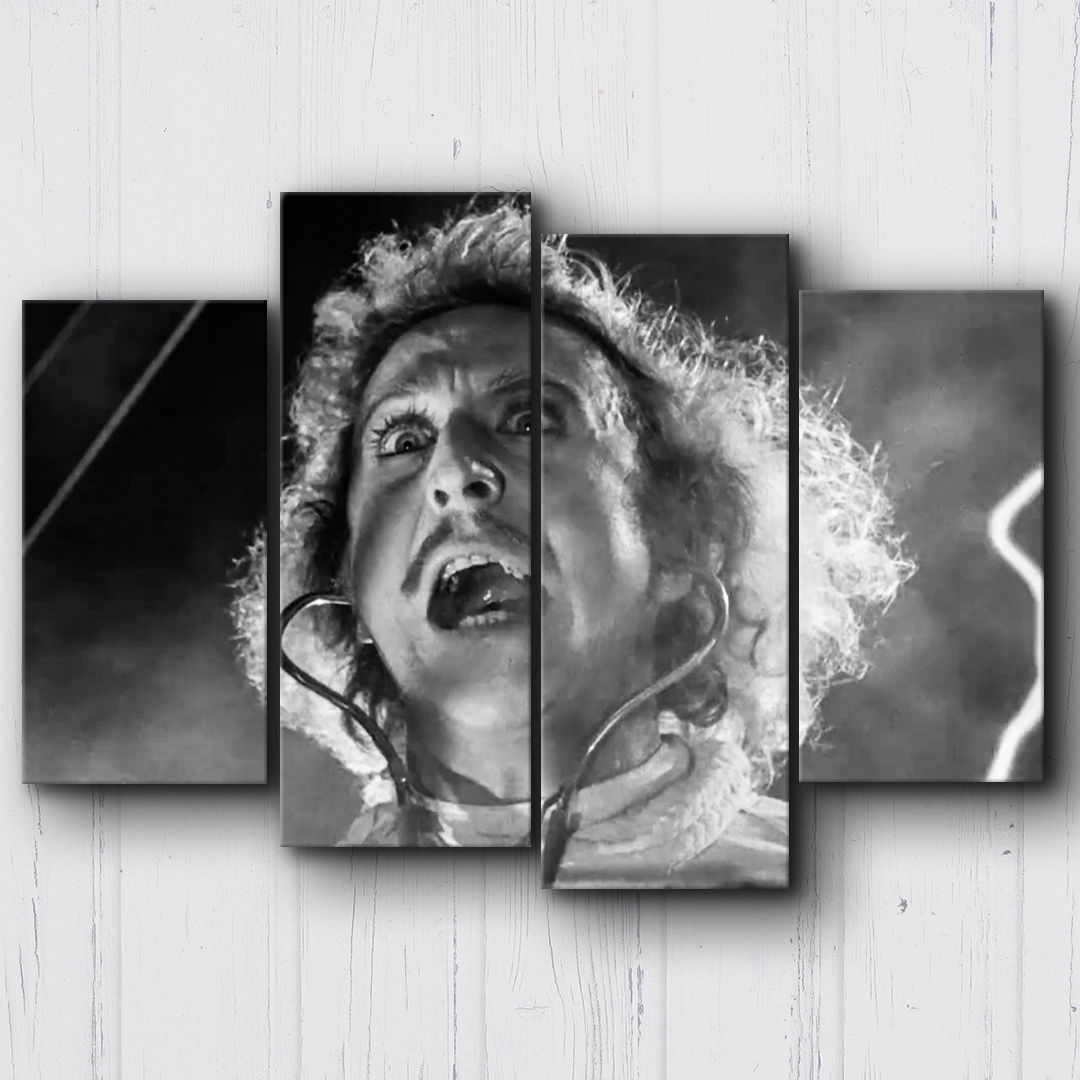 Young Frankenstein Life Canvas Sets