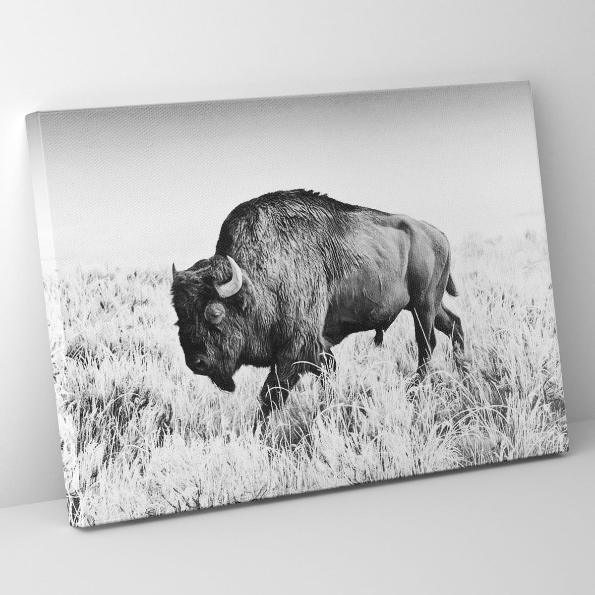 Lone Buffalo Prints | Far Out Art 