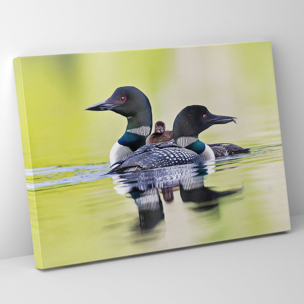 On Golden Pond The Loons Prints | Far Out Art 