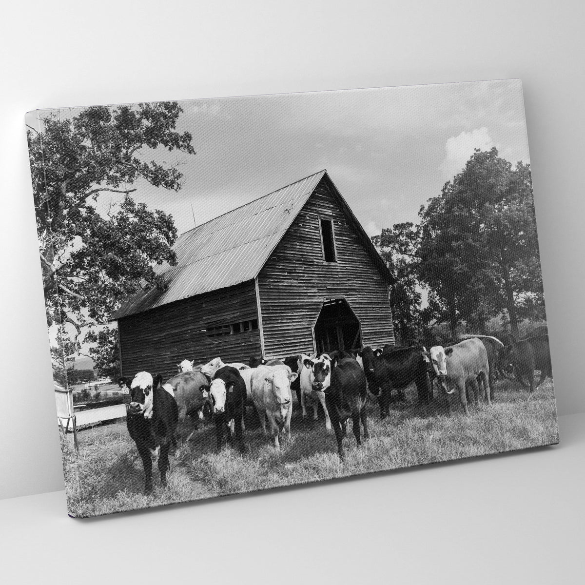 Cattle Barn Prints | Far Out Art 