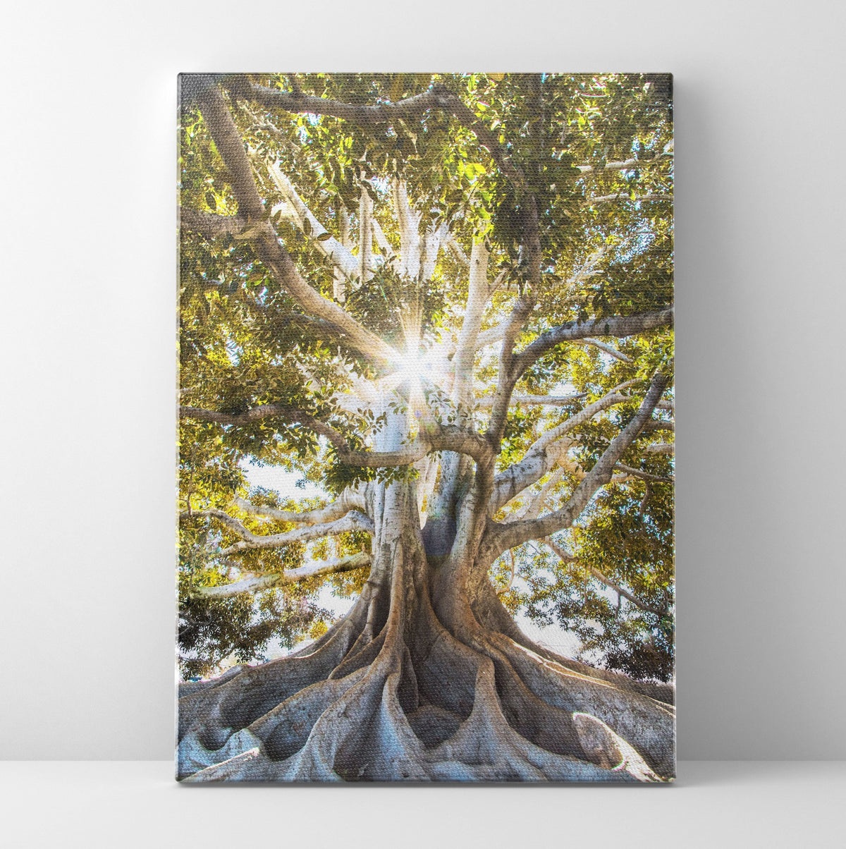 Oud Tree Prints | Far Out Art 