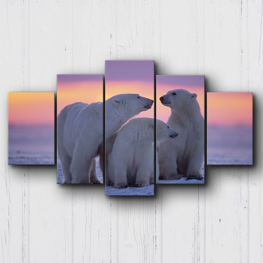 Polar Bear Canvas Sets