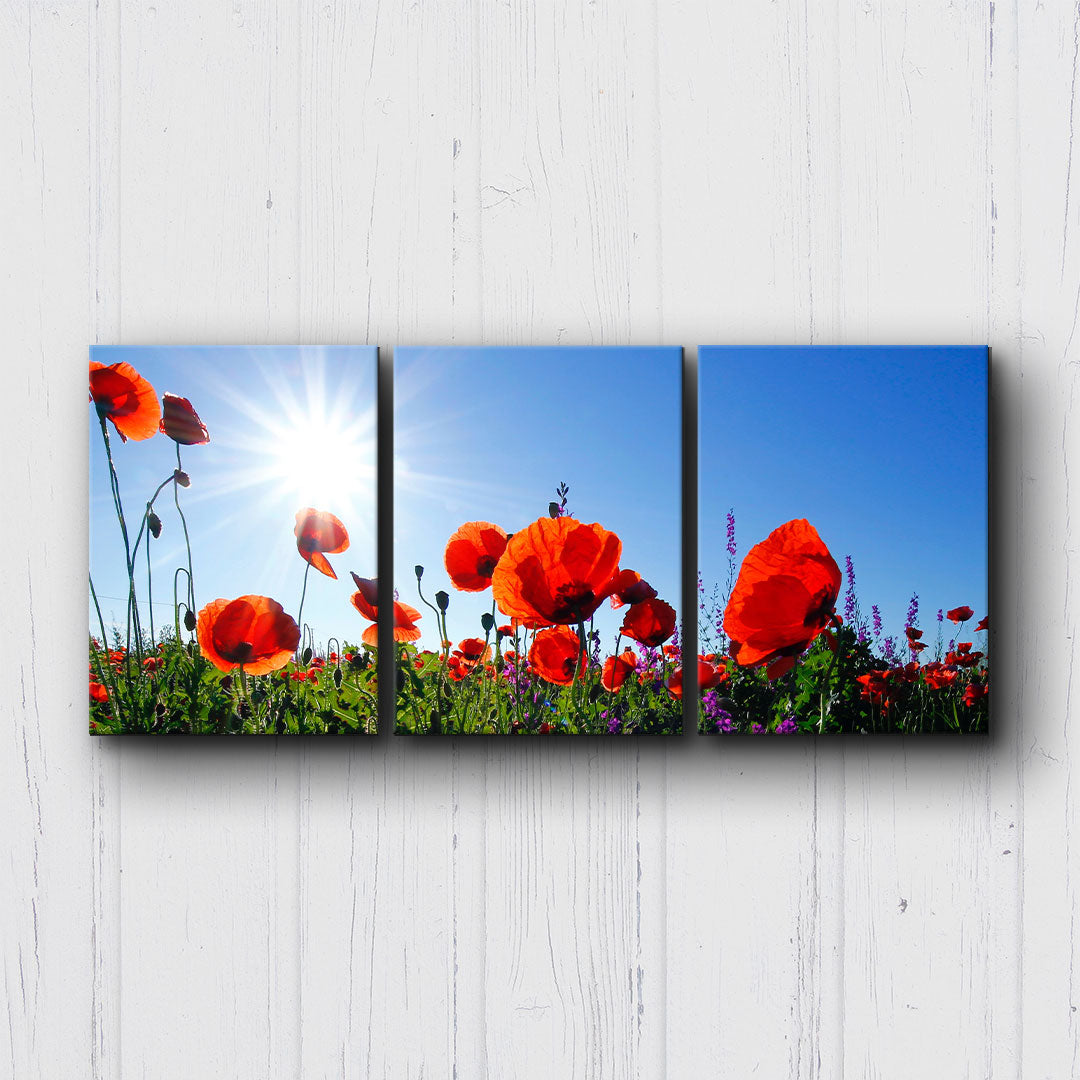 Red Poppies Canvas Sets