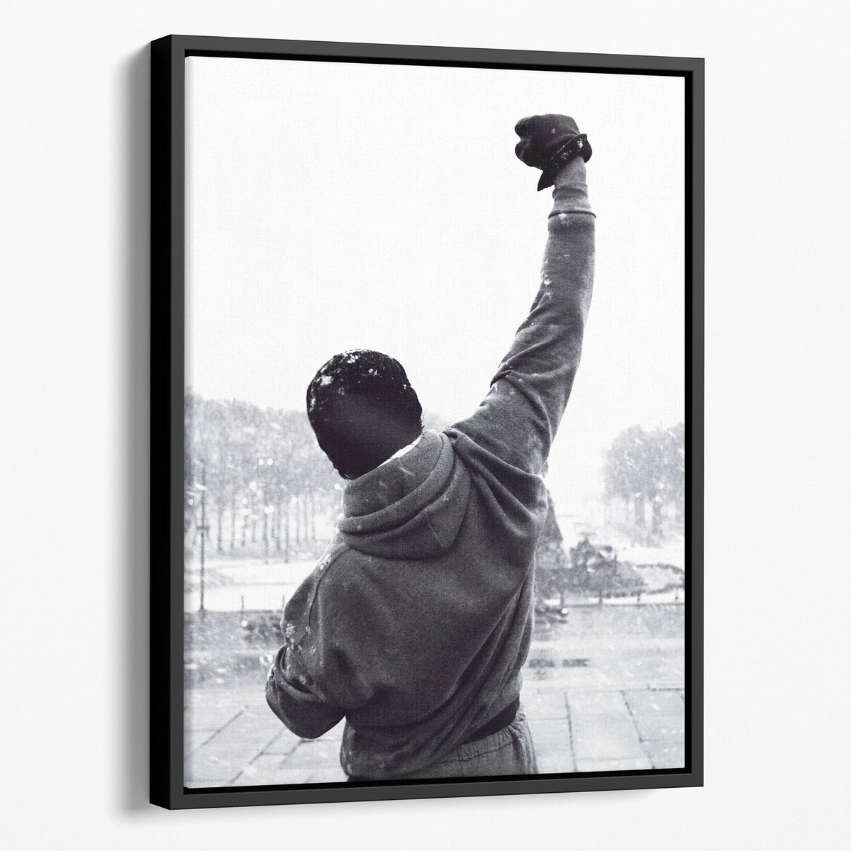 Rocky Champion BW Canvas Sets