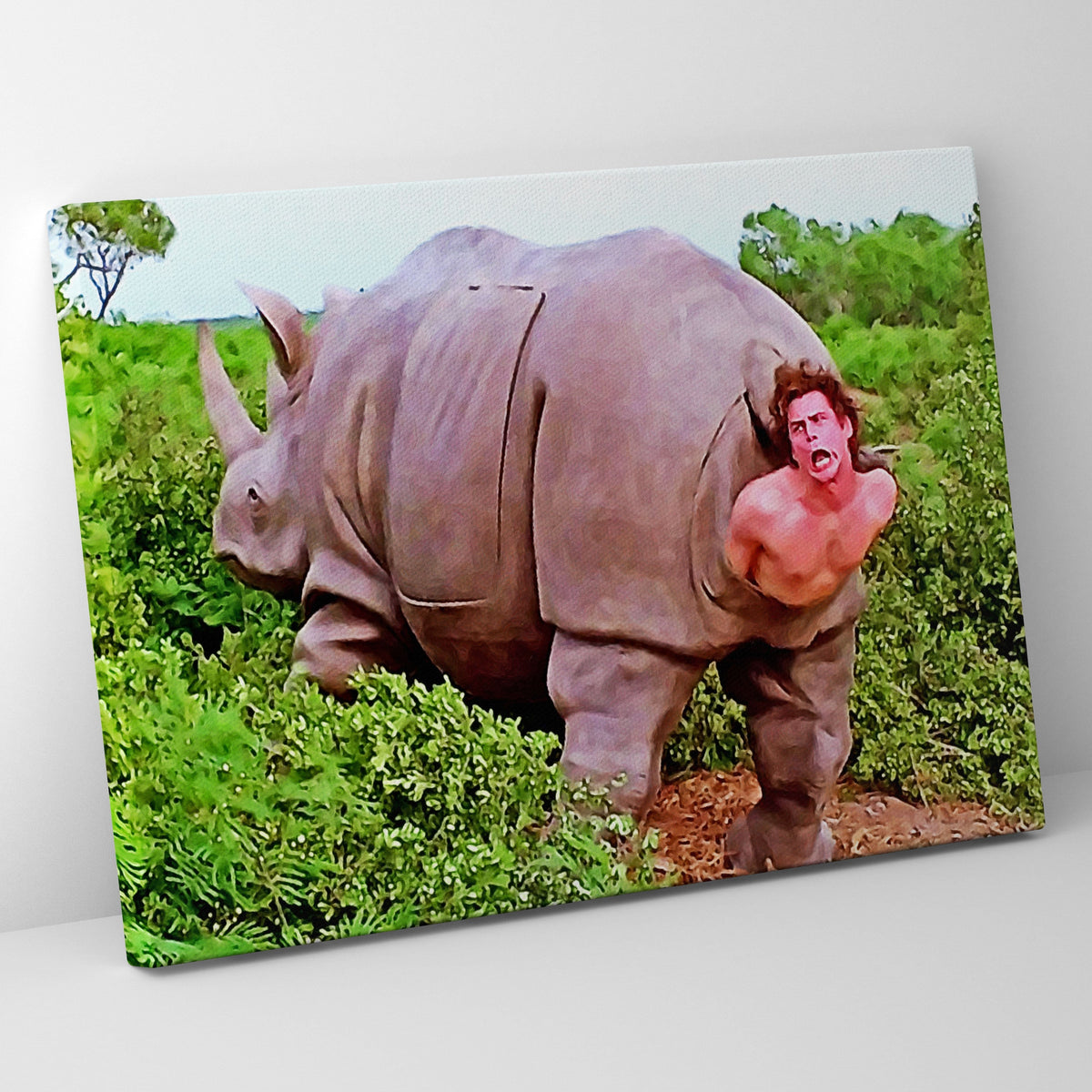 ace ventura and rhino- ace ventura pet detective|canvas |Everything Wall Art