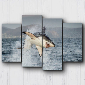 Shark Week Canvas Sets