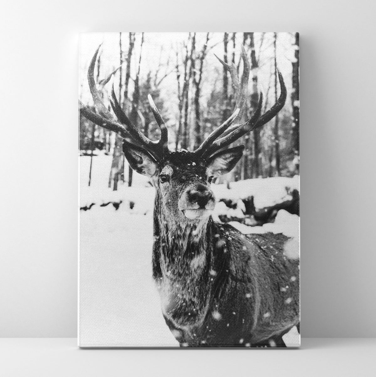 Snow Buck Prints | Far Out Art 