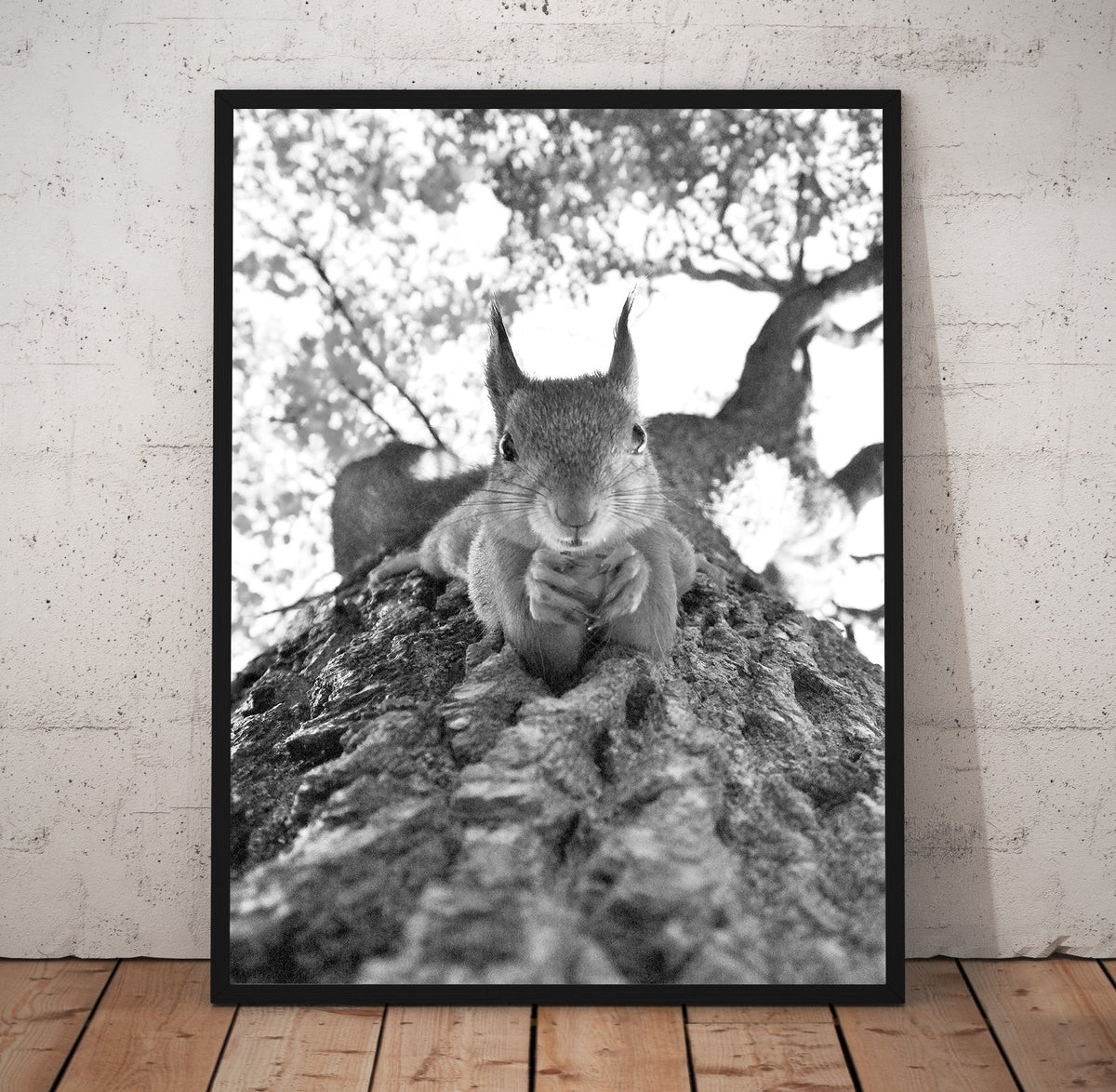 Squirrel Poster/Canvas | Far Out Art 