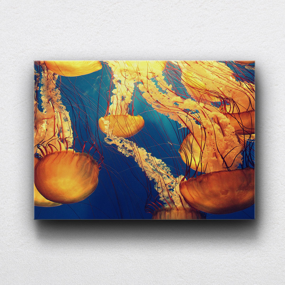 Sunset Glow Jellyfish Canvas Sets