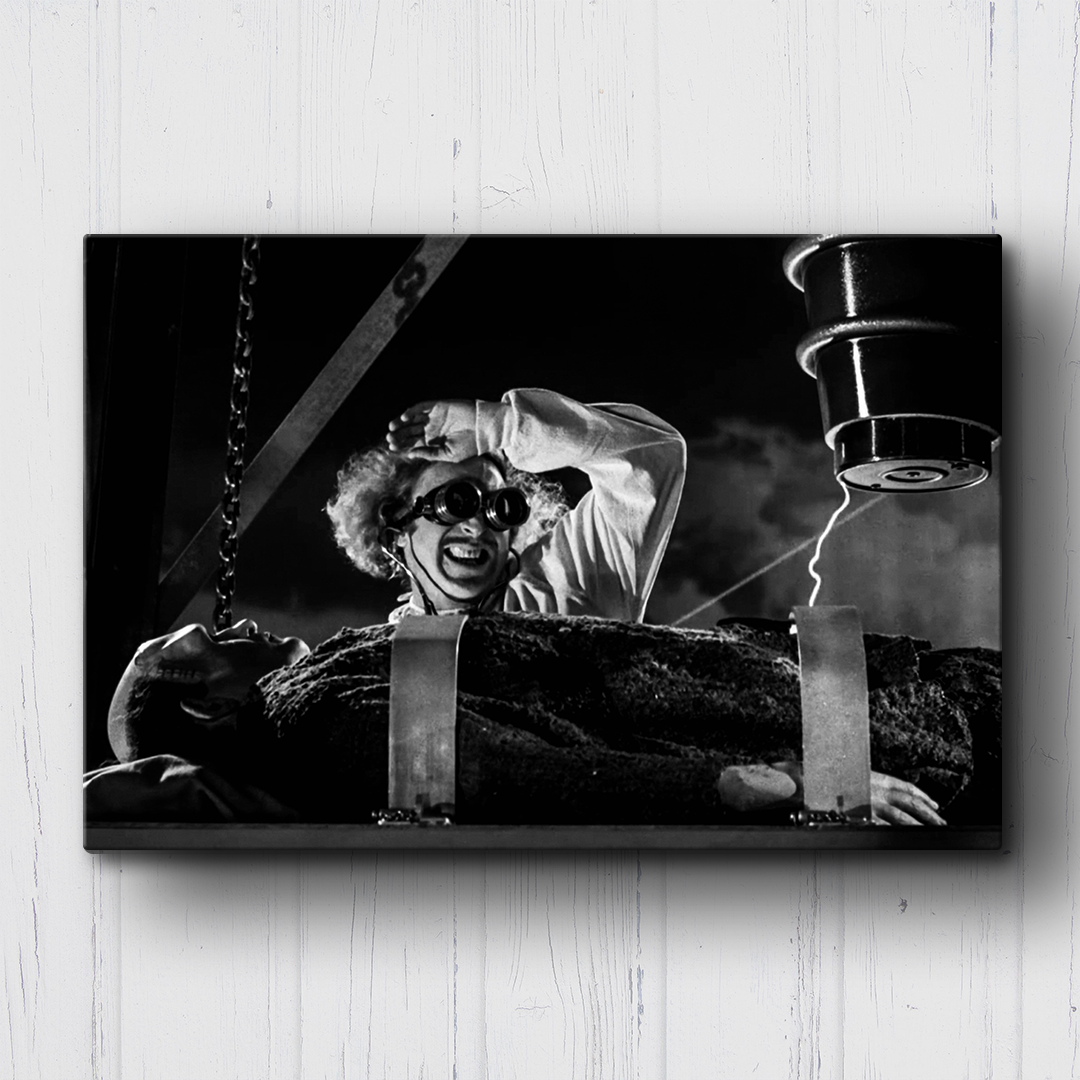Young Frankenstein Throw the switch Canvas Sets