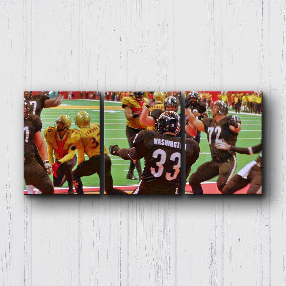 Any Given Sunday Touchdown Canvas Sets